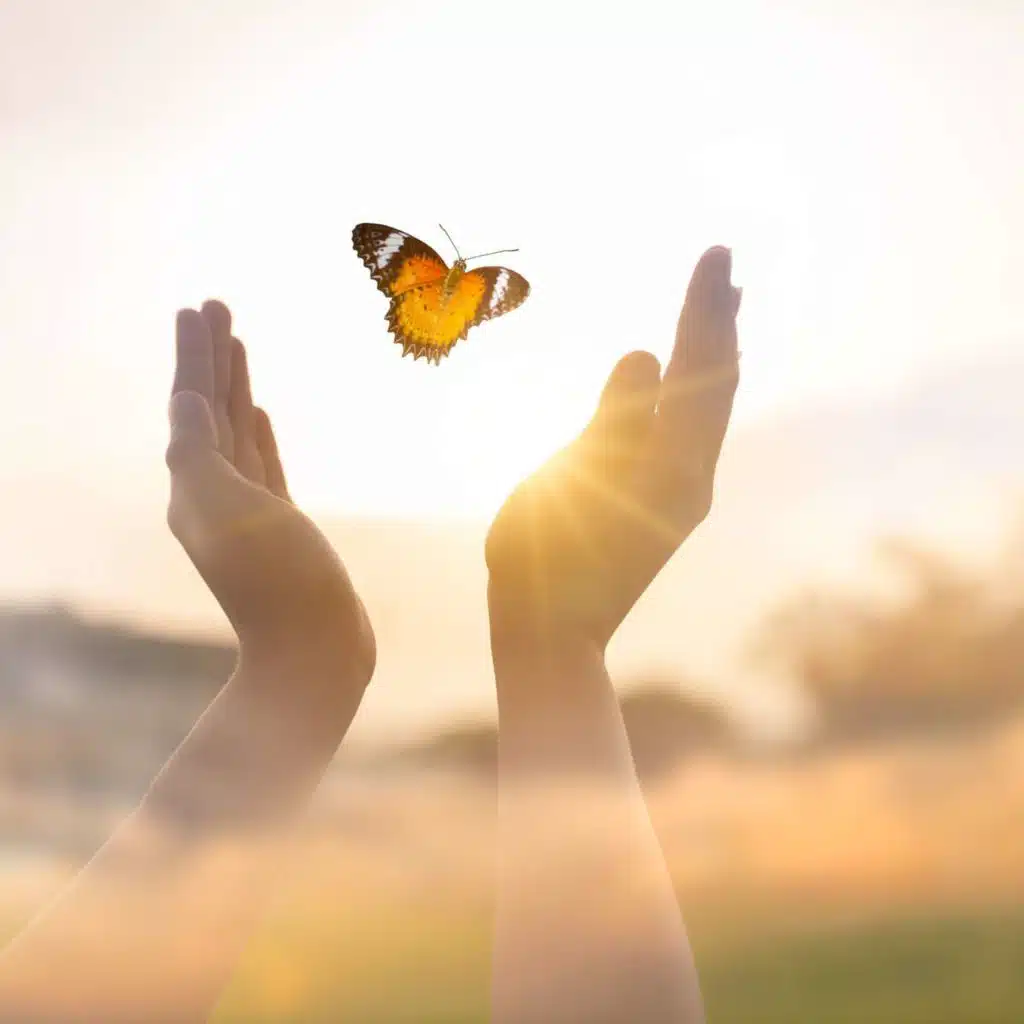 Transcend the Form to Transform