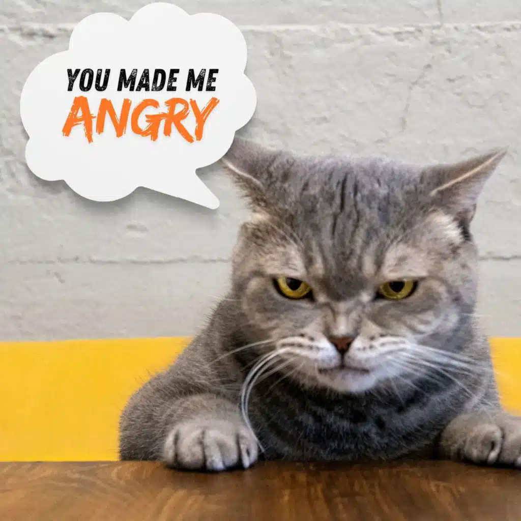 you made me angry