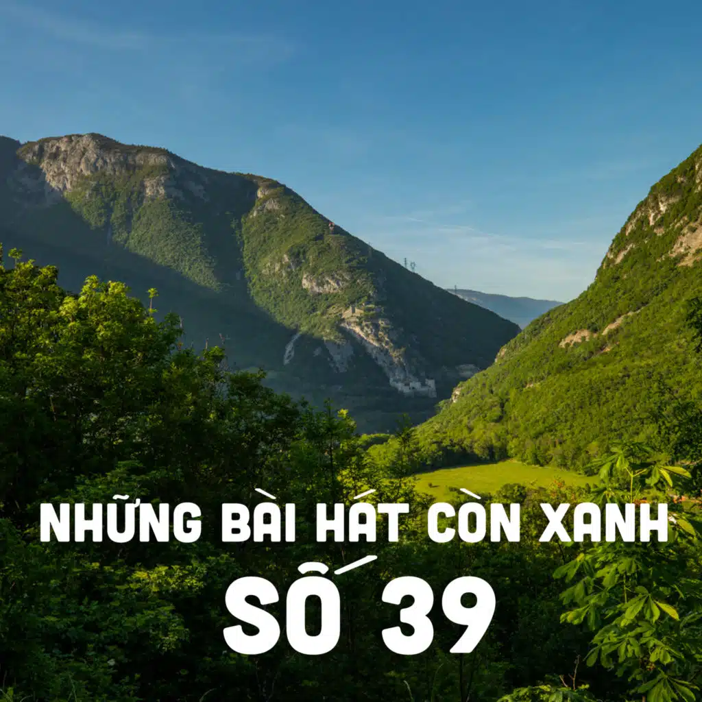 Trung Dũng, Quý Bình, Nguyễn Lê Bá Thắng & Hiếu Hiền