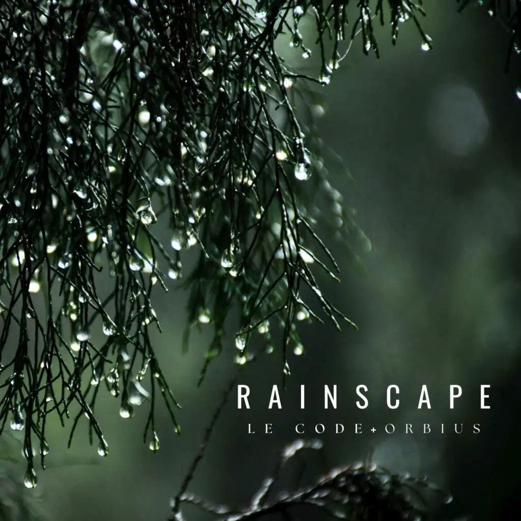 Rainscape