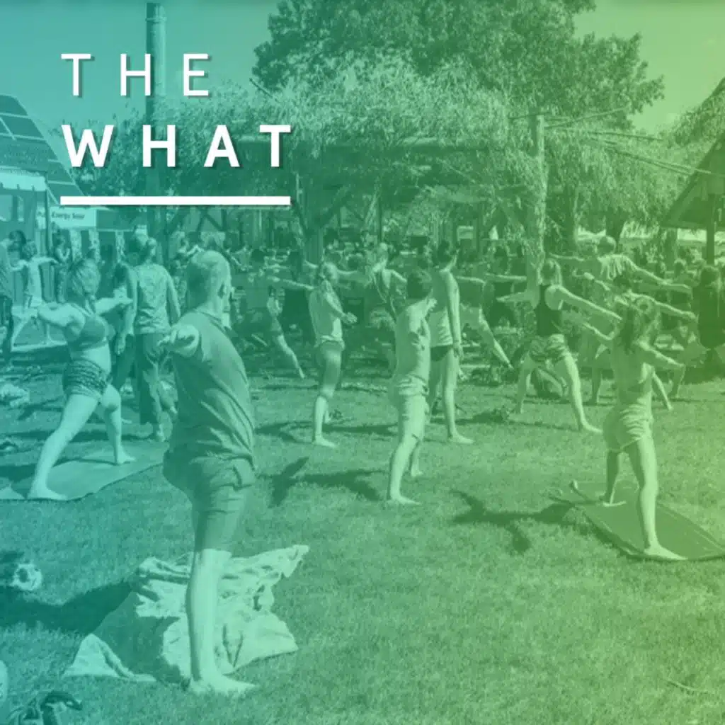 Bonnaroo Do's and Don'ts for 2022