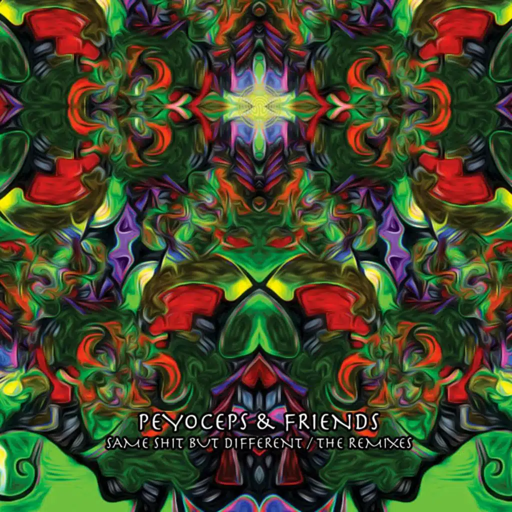 Same Shit But Different / The Remixes