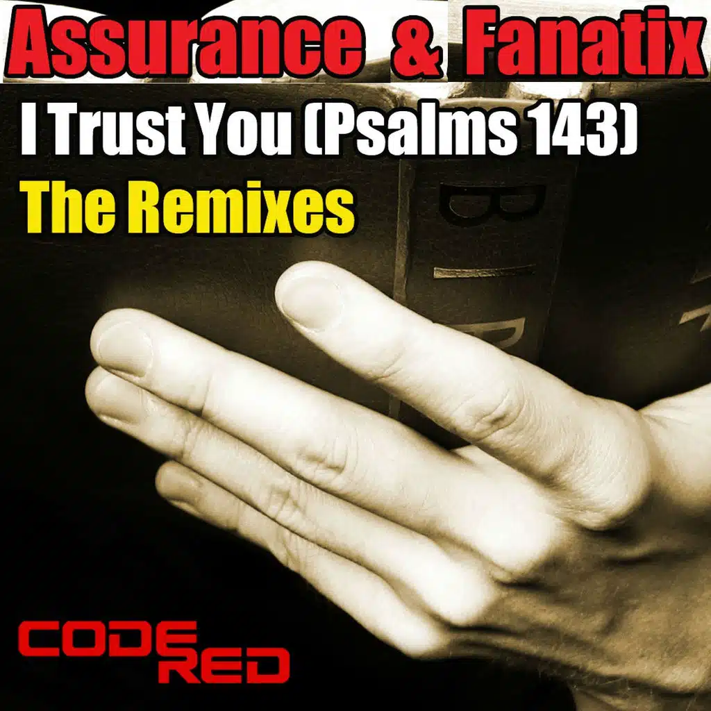 I Trust You (Psalms 143) (The Remixes)