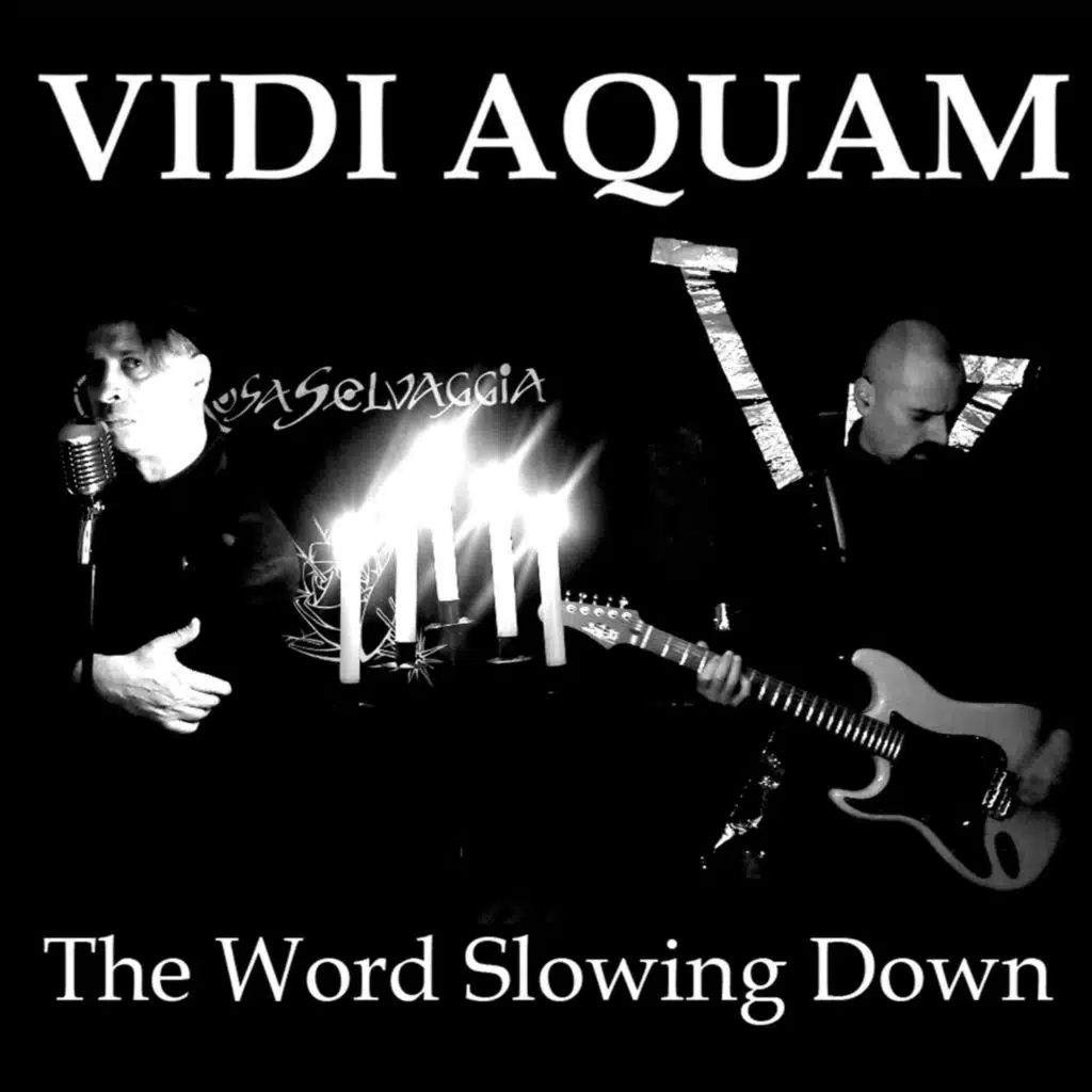 The World Slowing Down