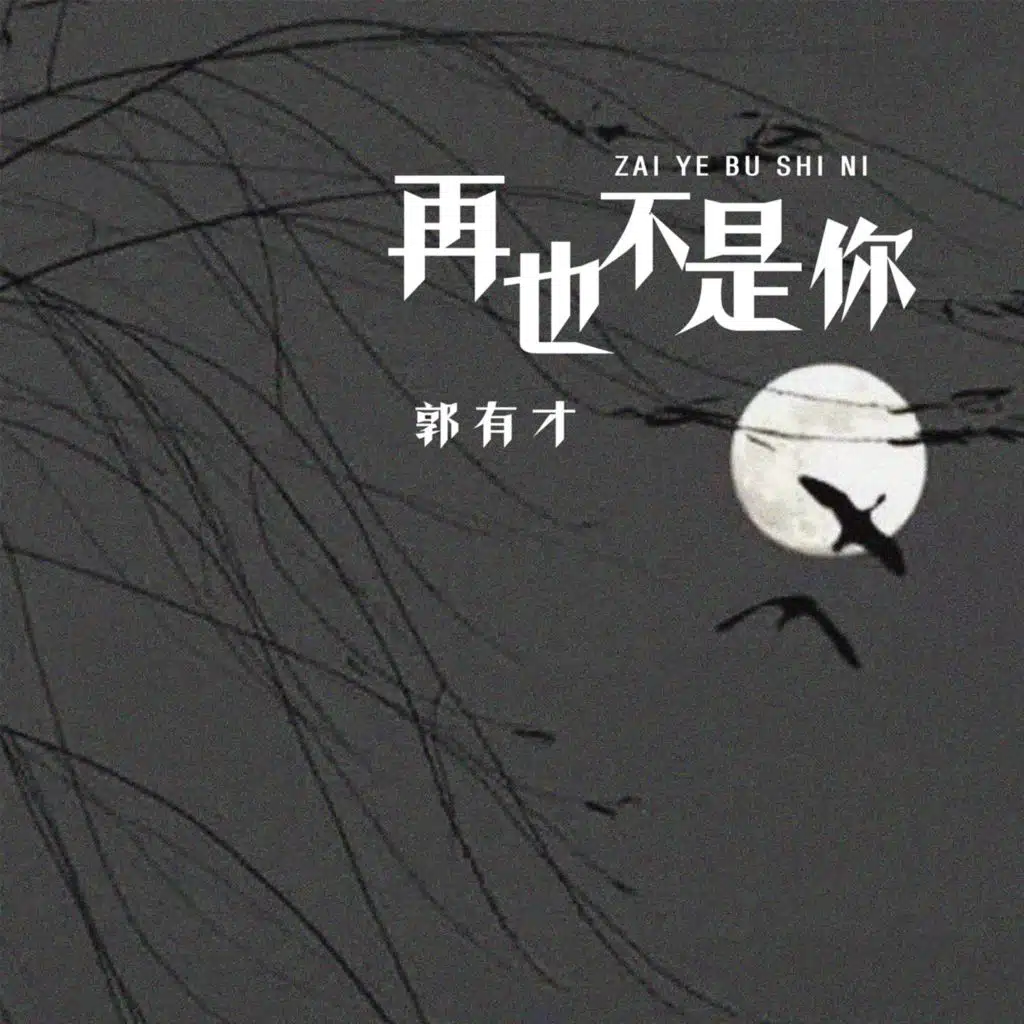 再也不是你 (DJ何友版)