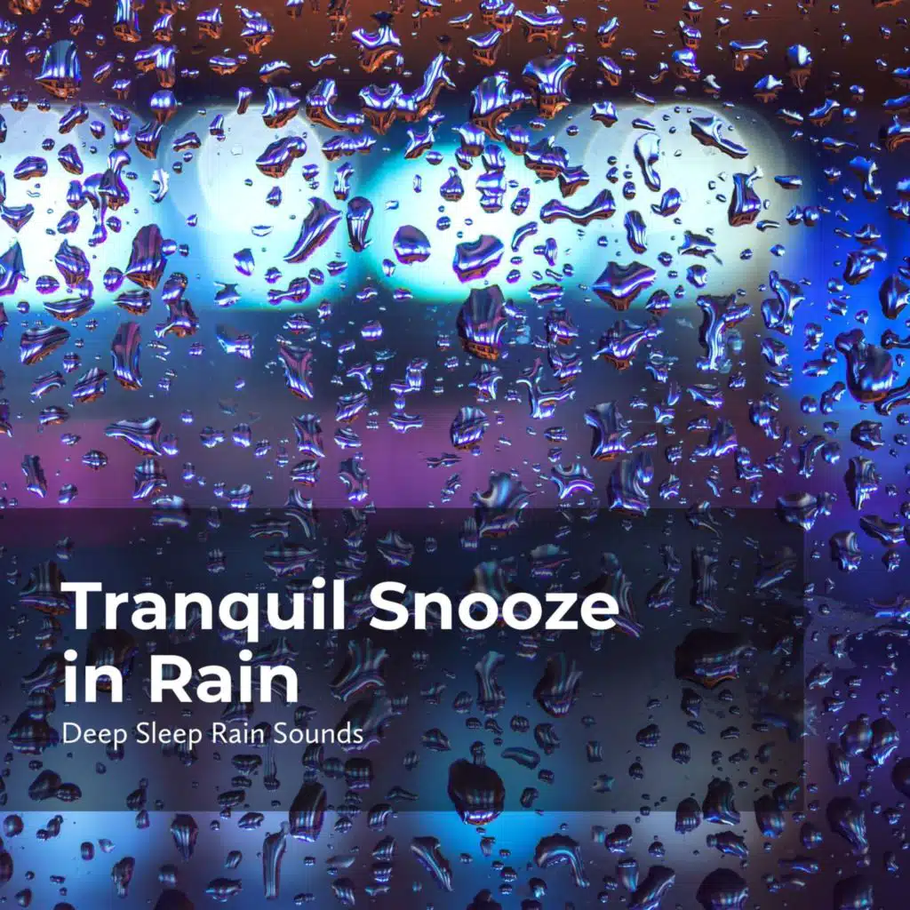 Tranquil Snooze in Rain
