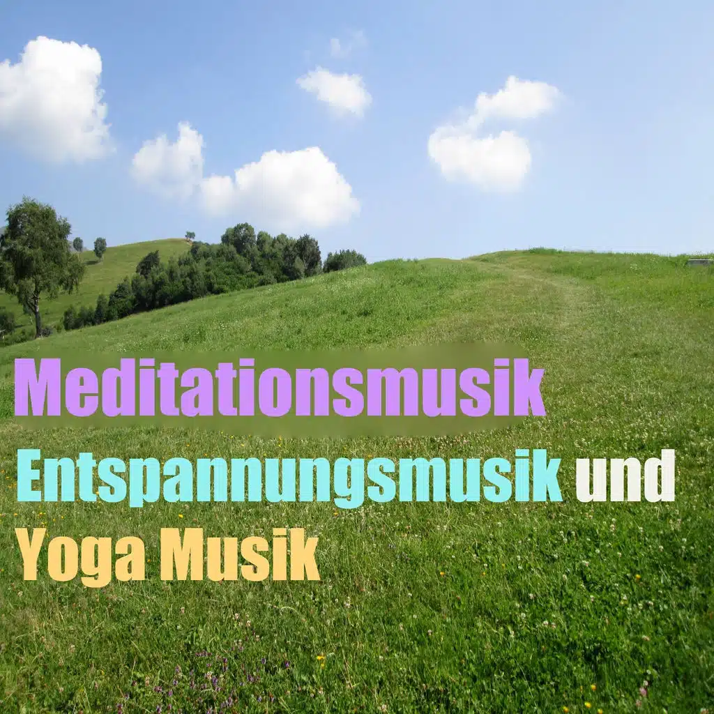 Meditationsmusik (Entspannungsmusik und Yoga Musik, Vol. 4)