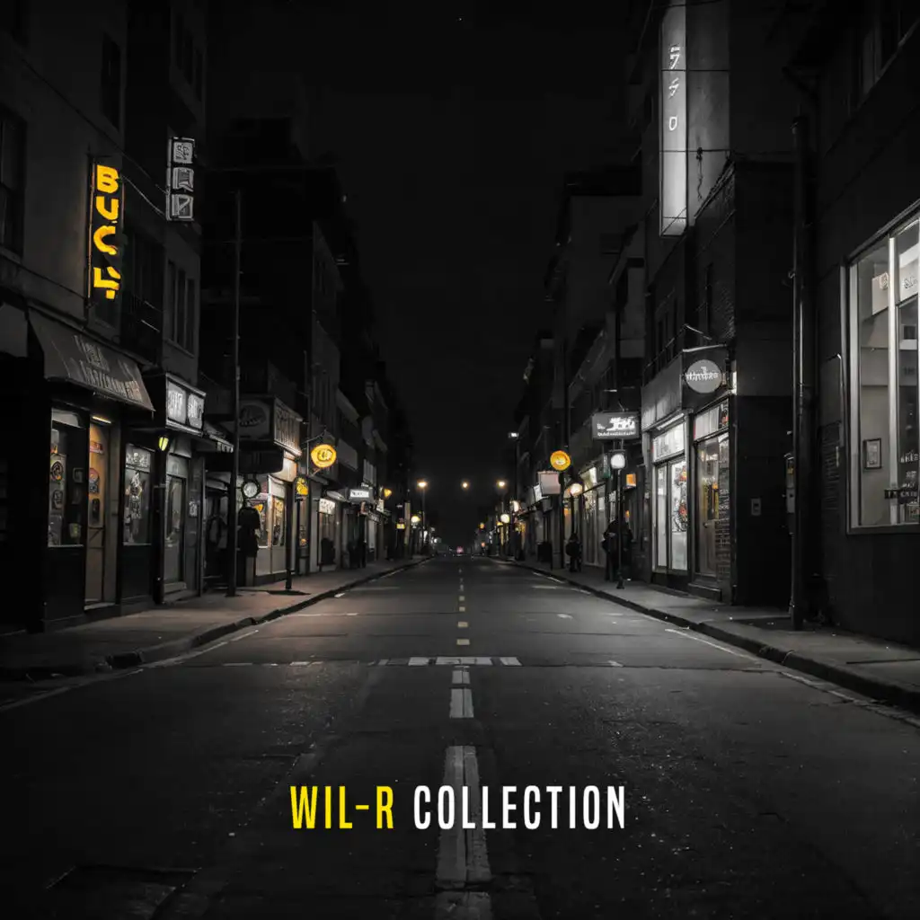 In the Dark (W4cko Remix) [feat. Wil-R]