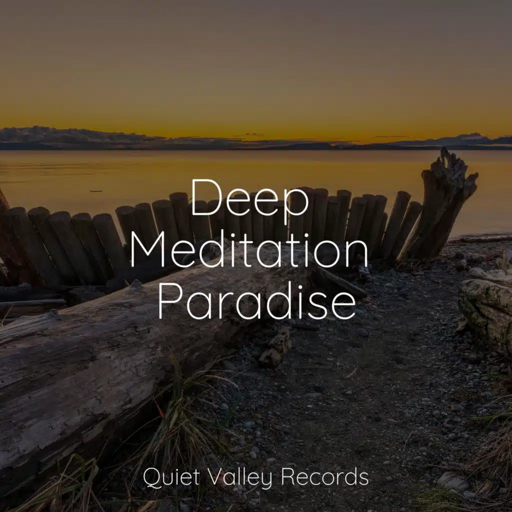Deep Meditation Paradise