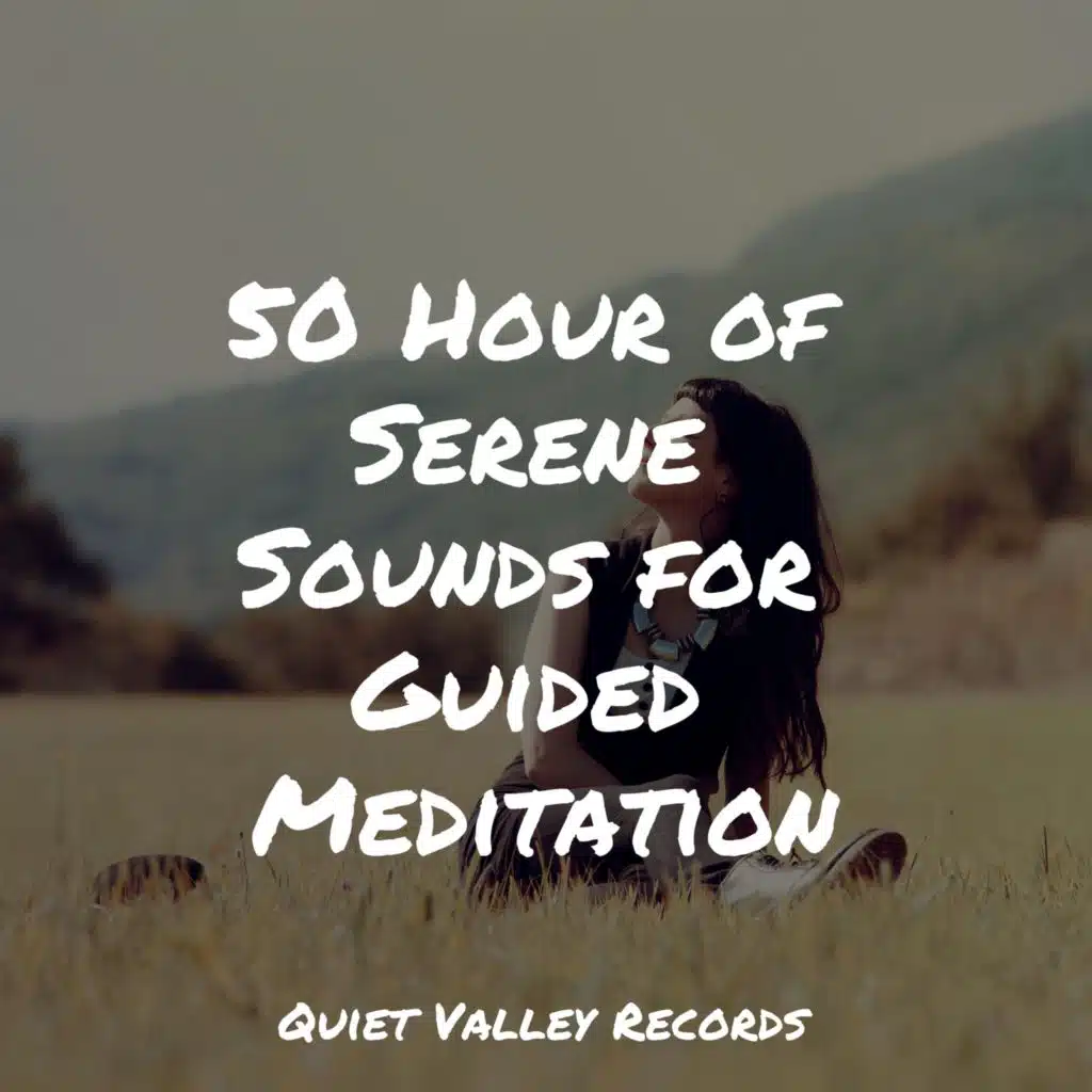 50 Hour of Serene Sounds for Guided Meditation