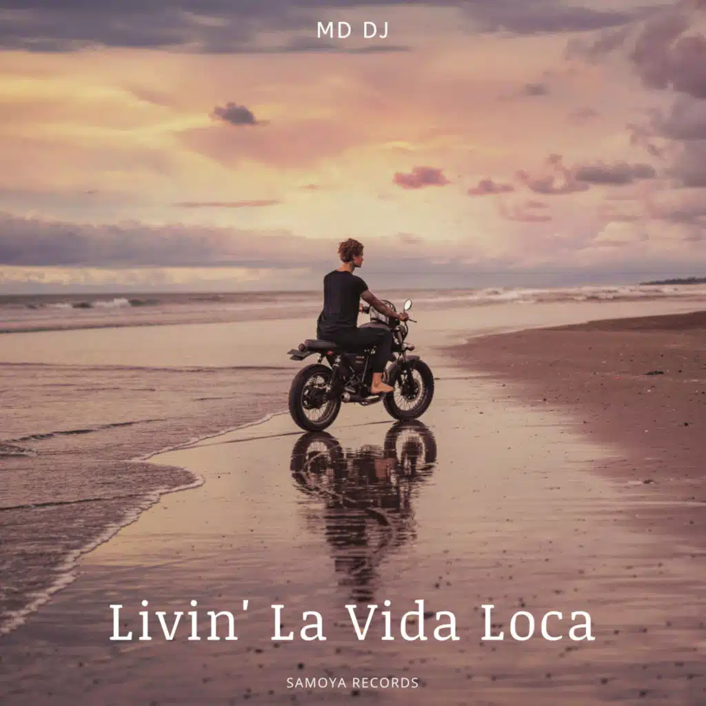 Livin' La Vida Loca (Extended)