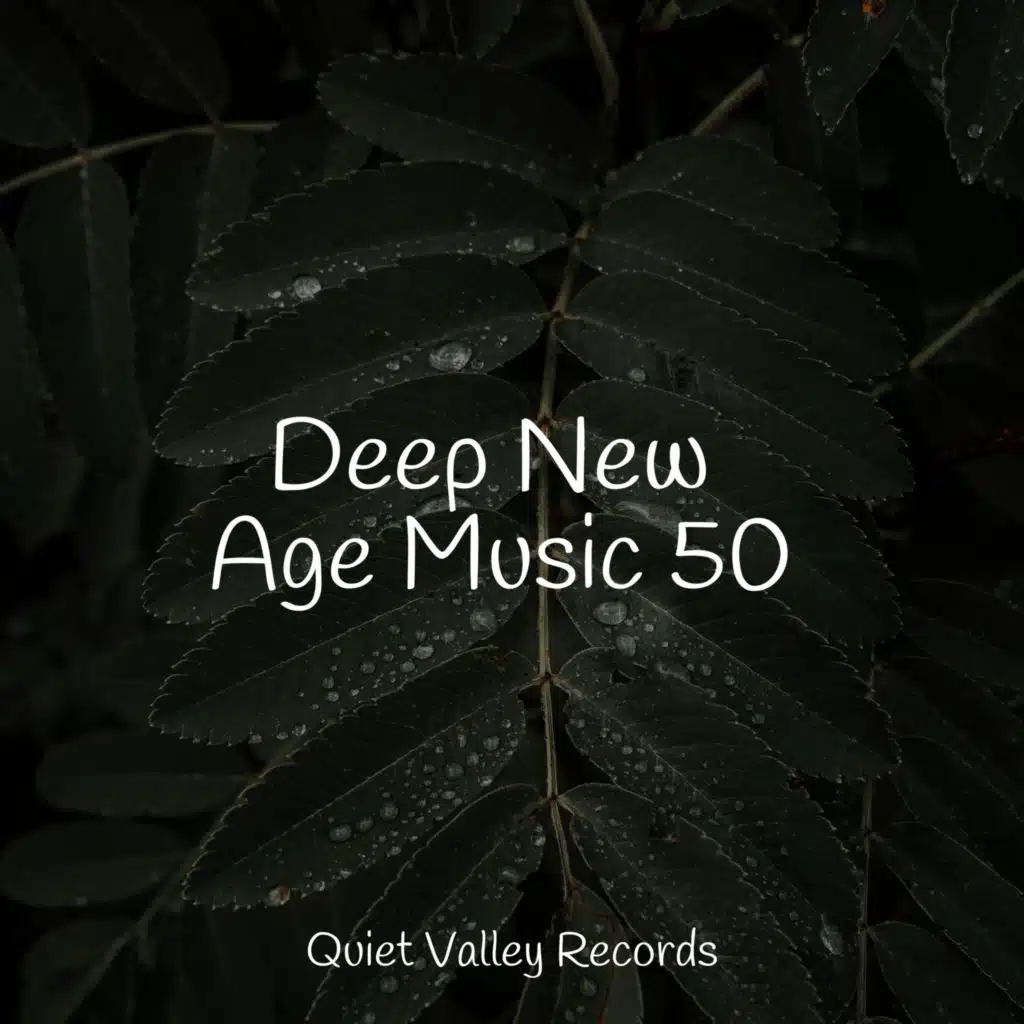 Deep New Age Music 50