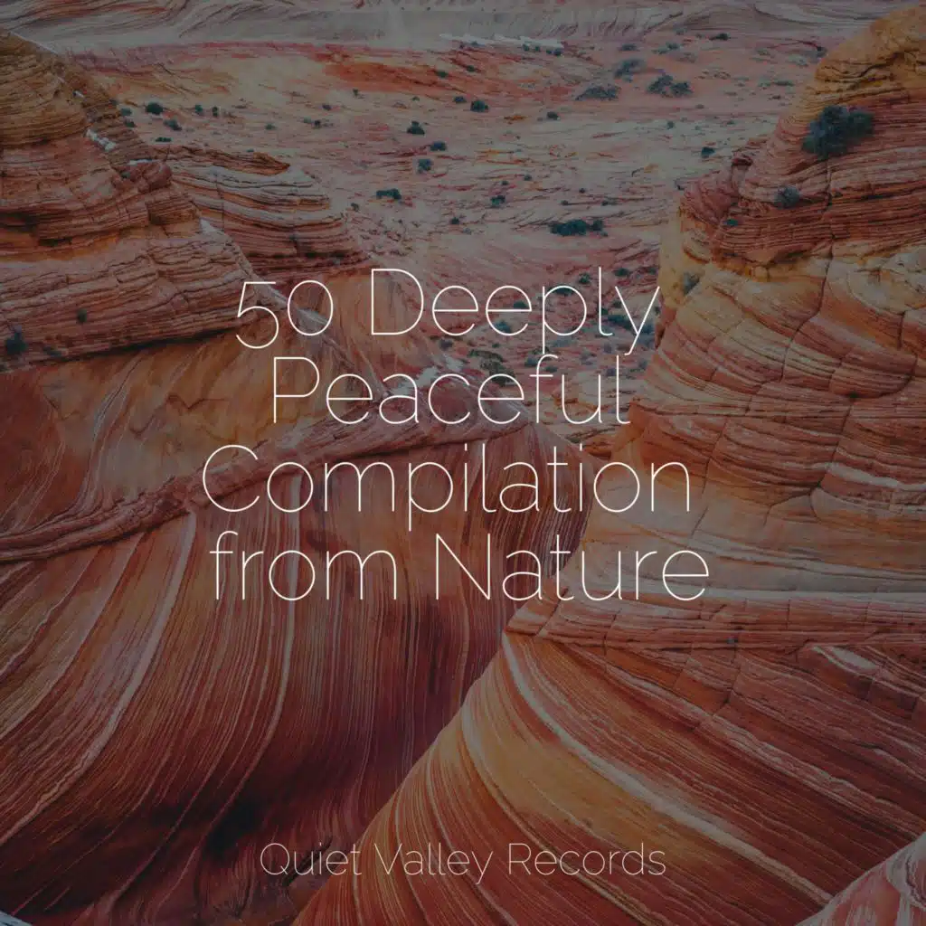 50 Deeply Peaceful Compilation from Nature