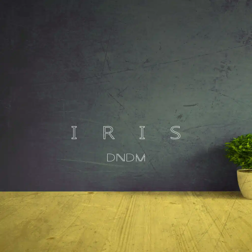 Iris