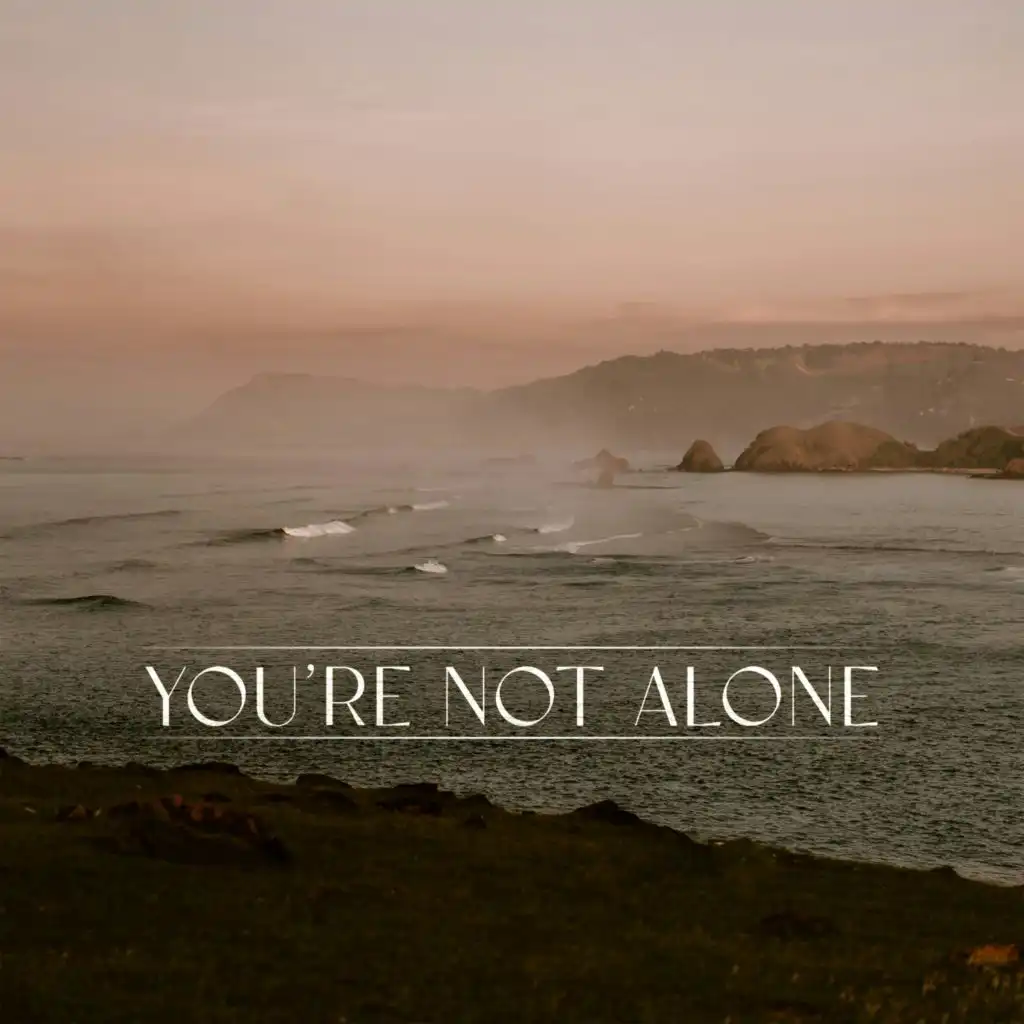 You're Not Alone (James Carter Remix) [feat. RY X]