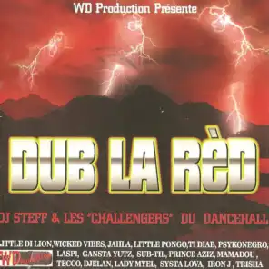 Dub la red (DJ Steff et les Challengers du Dancehall)