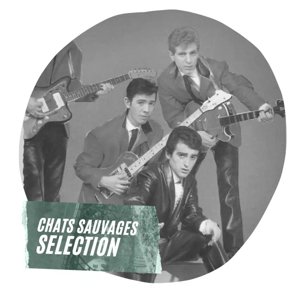 Chats Sauvages Selection