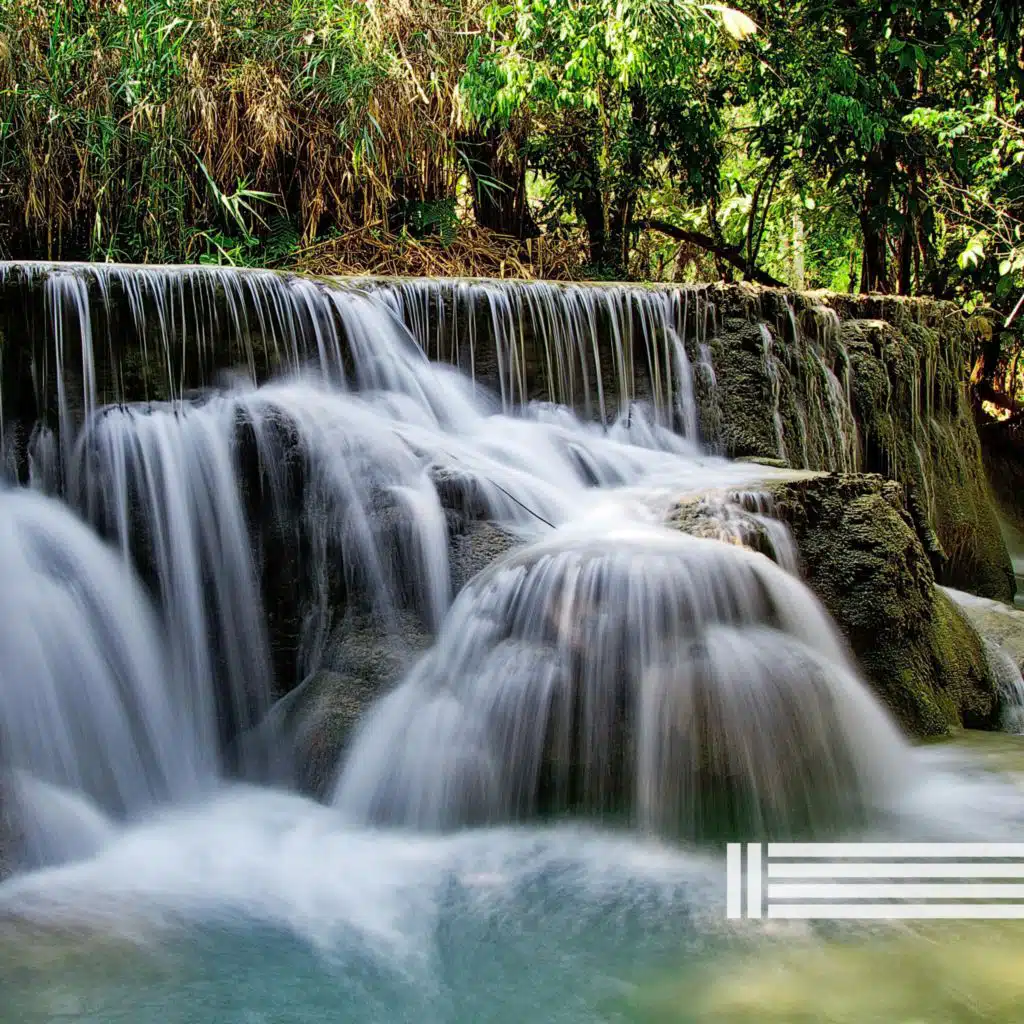 Sounds Of Forest Waterfall