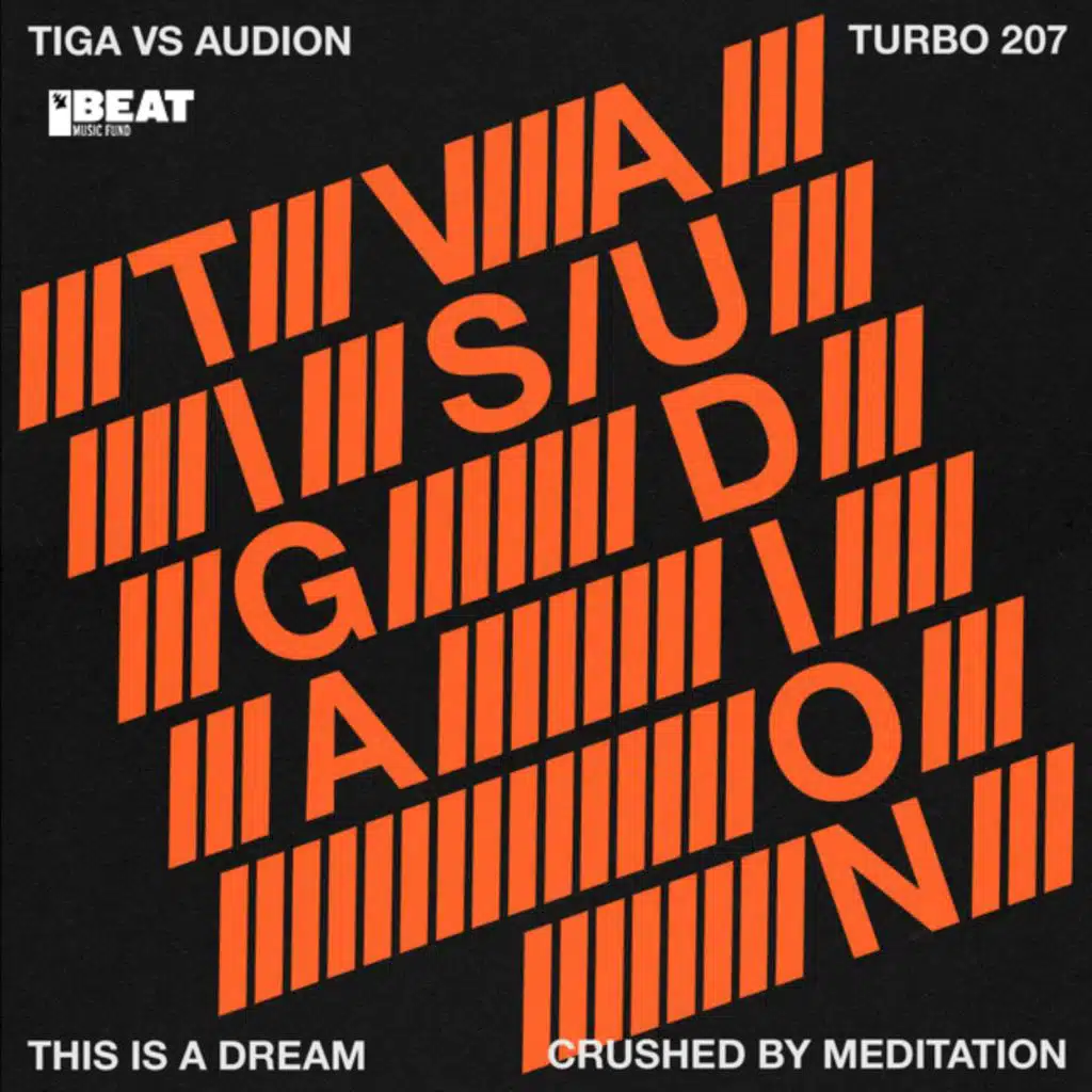 Tiga vs Audion