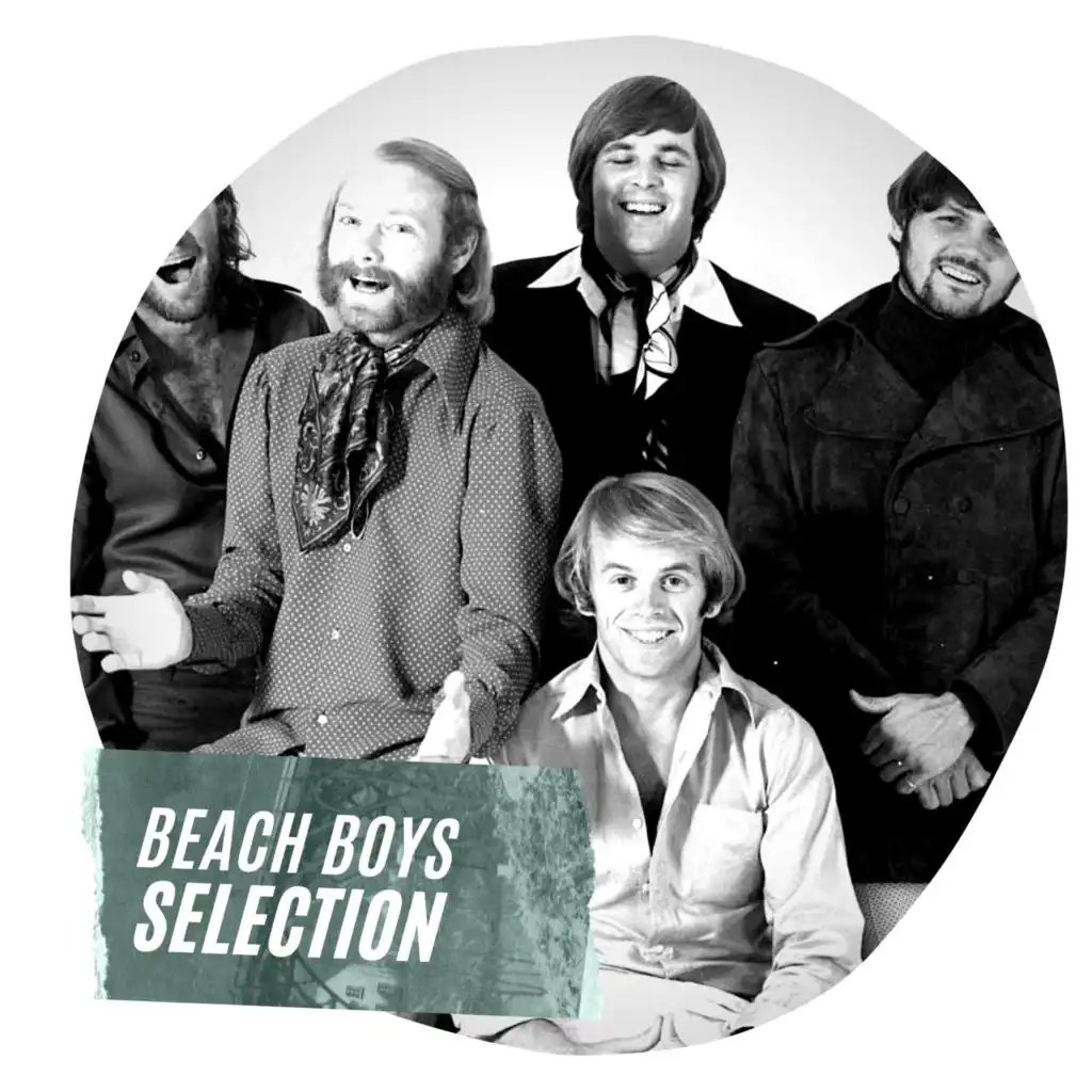 Beach Boys Selection