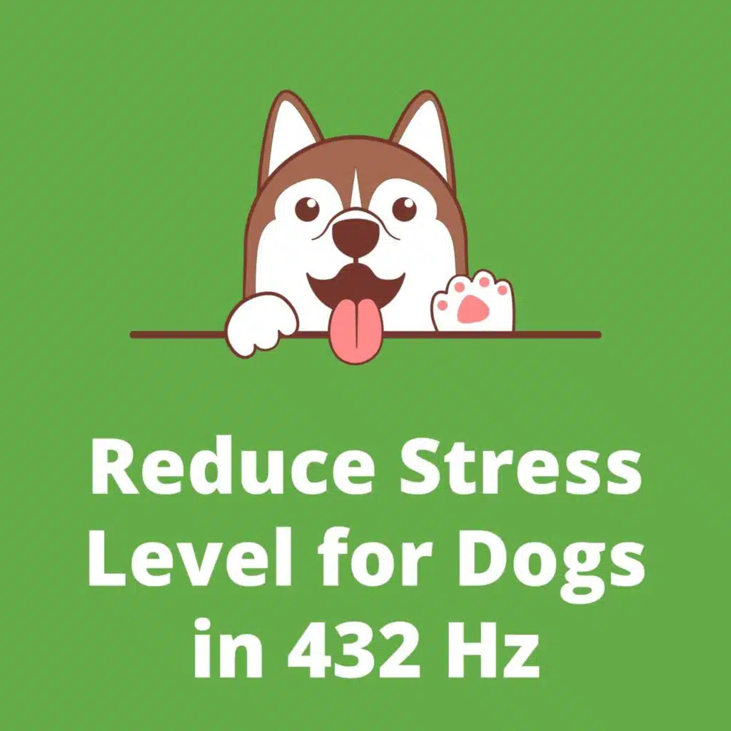 Reduce Stress Level for Dogs in 432 Hz