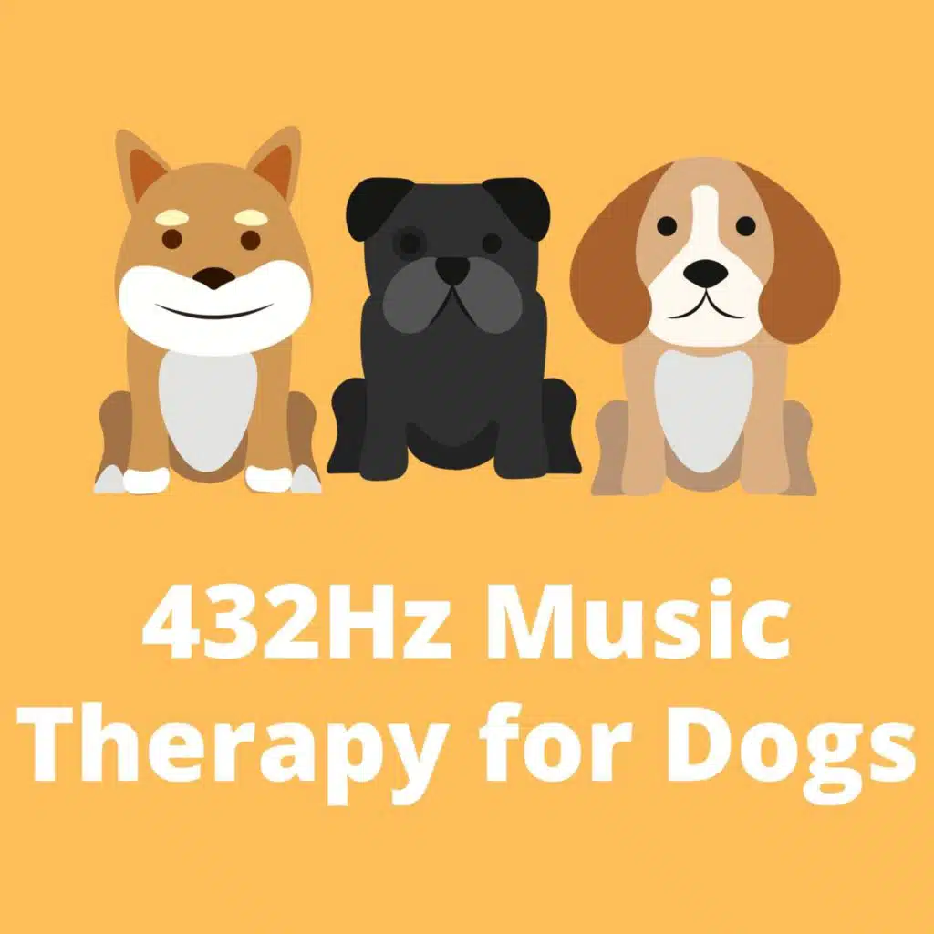 432 Hz Music Therapy for Dogs: Improve Anxiety