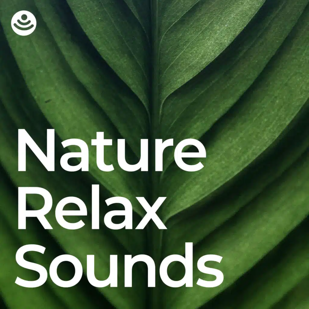 Peaceful Nature Soundscapes (No Fade, Loopable)