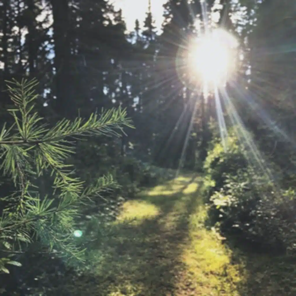 The Bored Rich Housewife and her Gardener: Part 1 (Female x Male) (18+ NSFW)