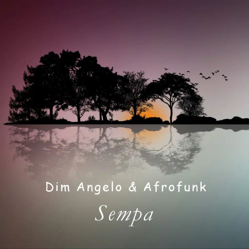 Dim Angelo & Afrofunk