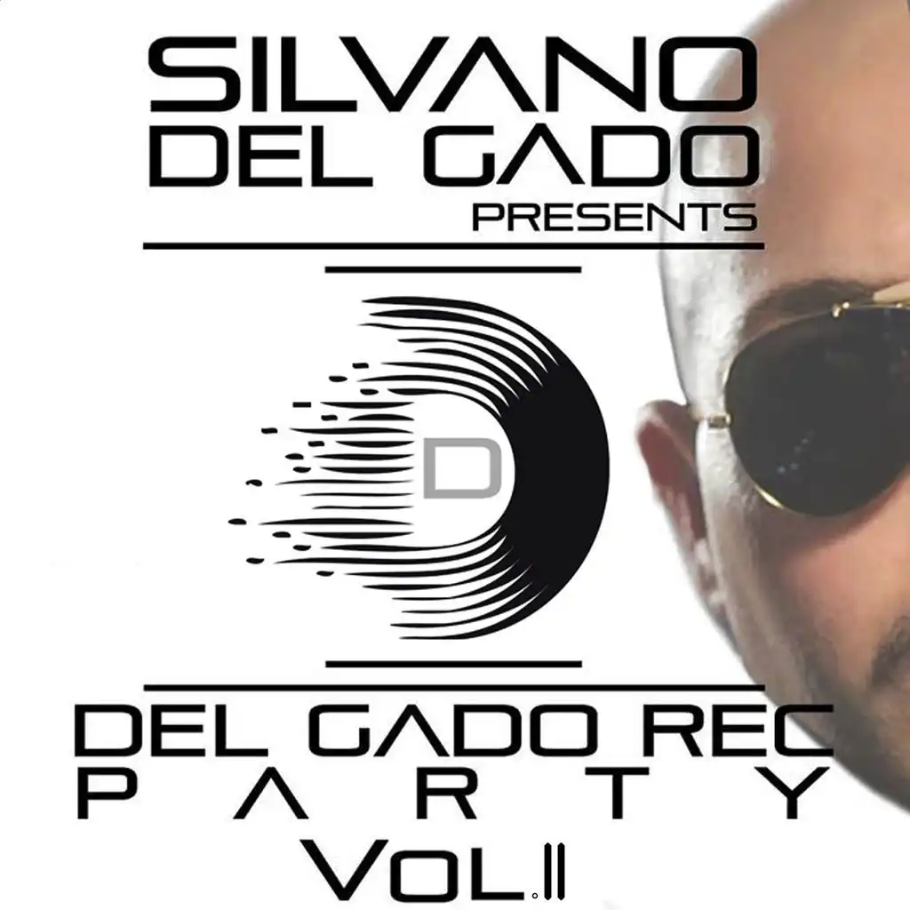 Del Gado Rec Party Compilation, Vol. 2 (Silvano del Gado Presents)