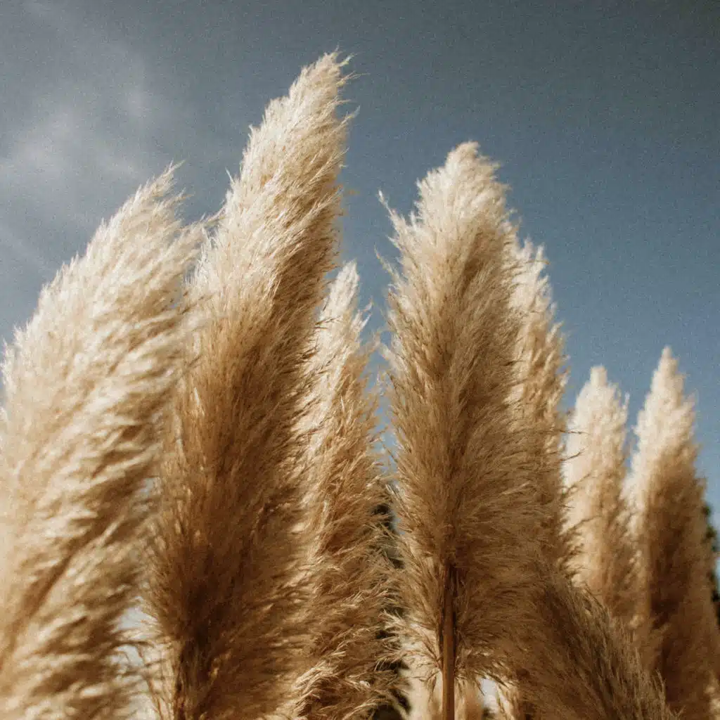 You Hold On(You Don't Let Go) [feat. Isaias Baquedano]