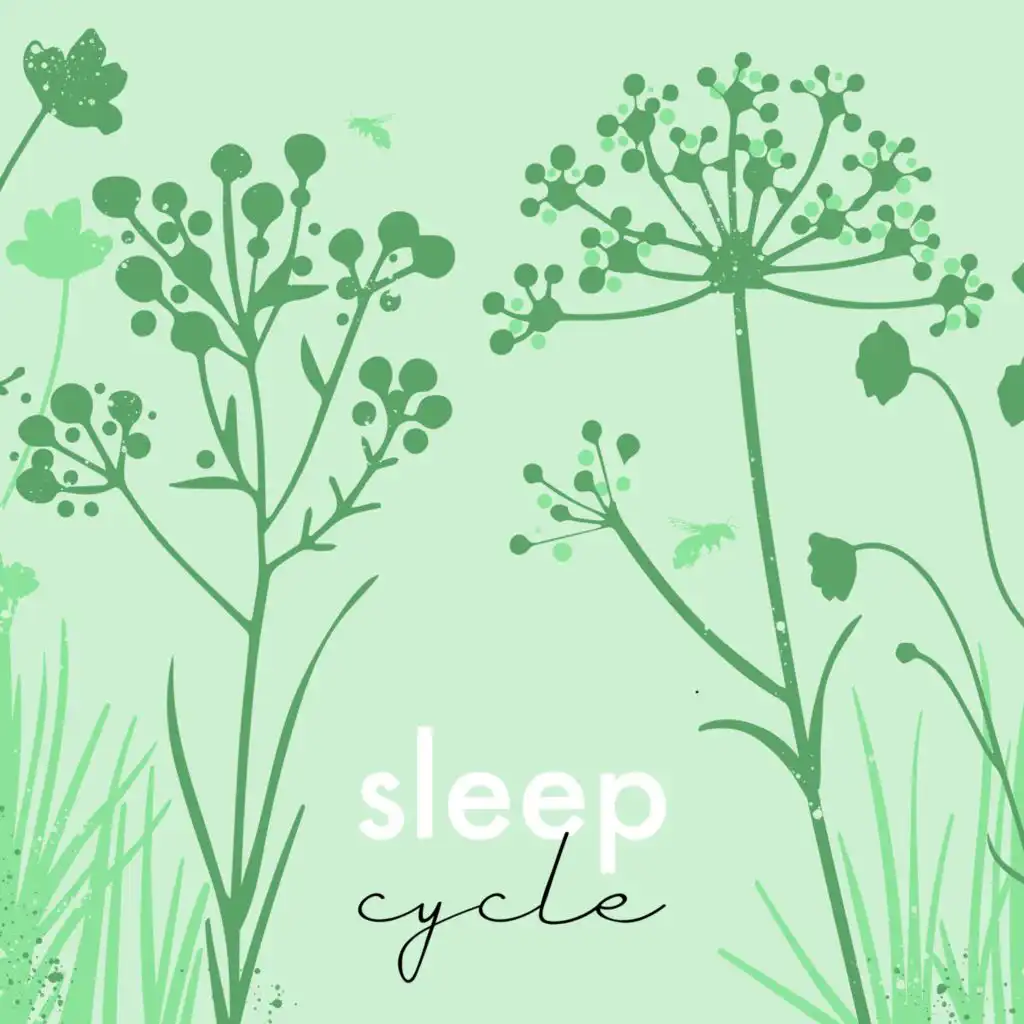 Chansons Pour Enfants Bébé TaTaTa and Les Cycles Du Sommeil