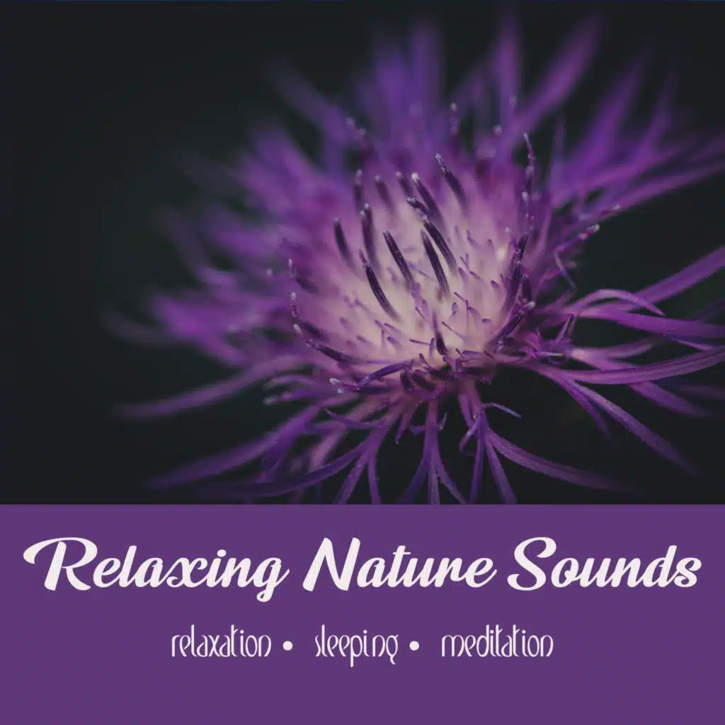 Twilight Wind Chimes | 3 hour