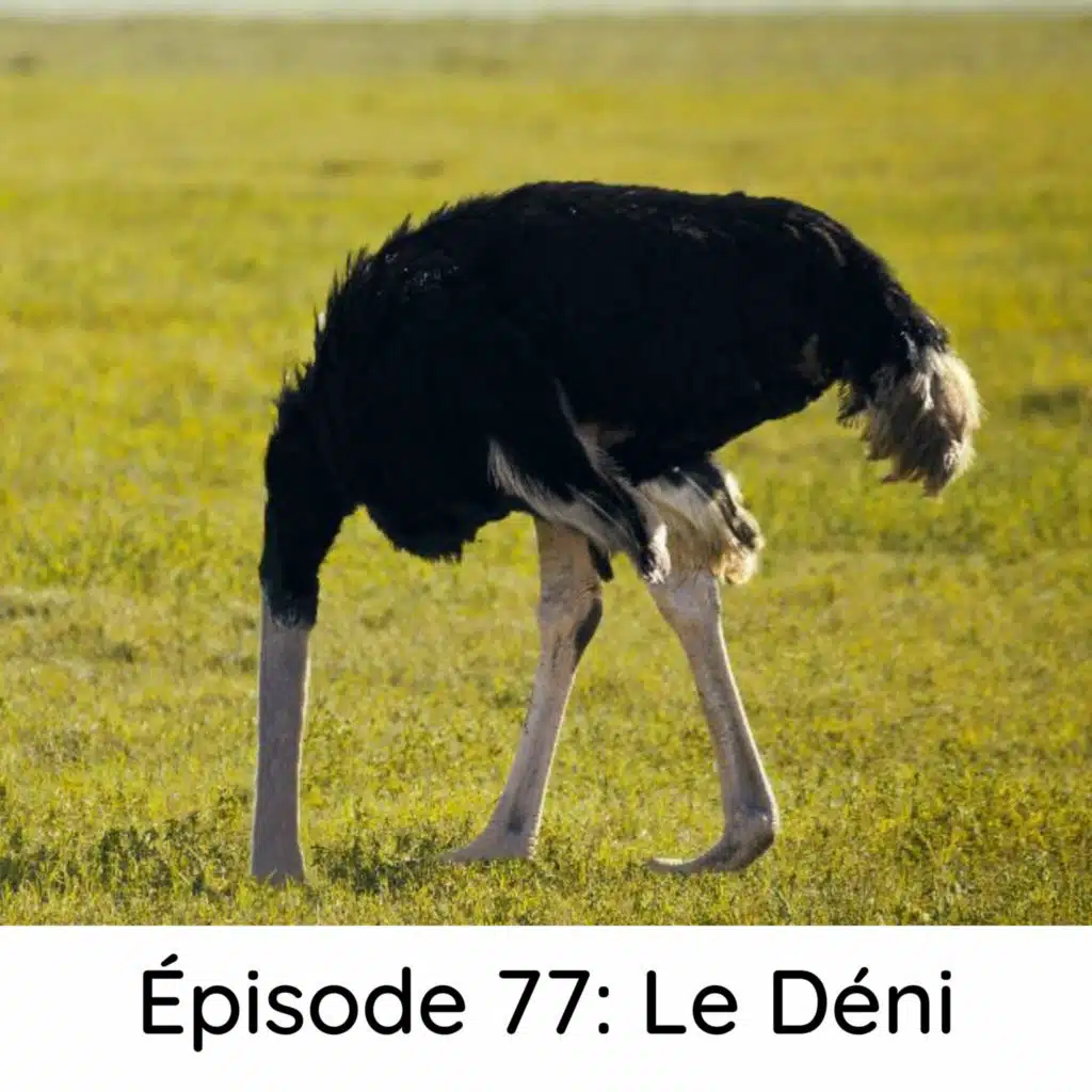 Épisode 77: Le Déni