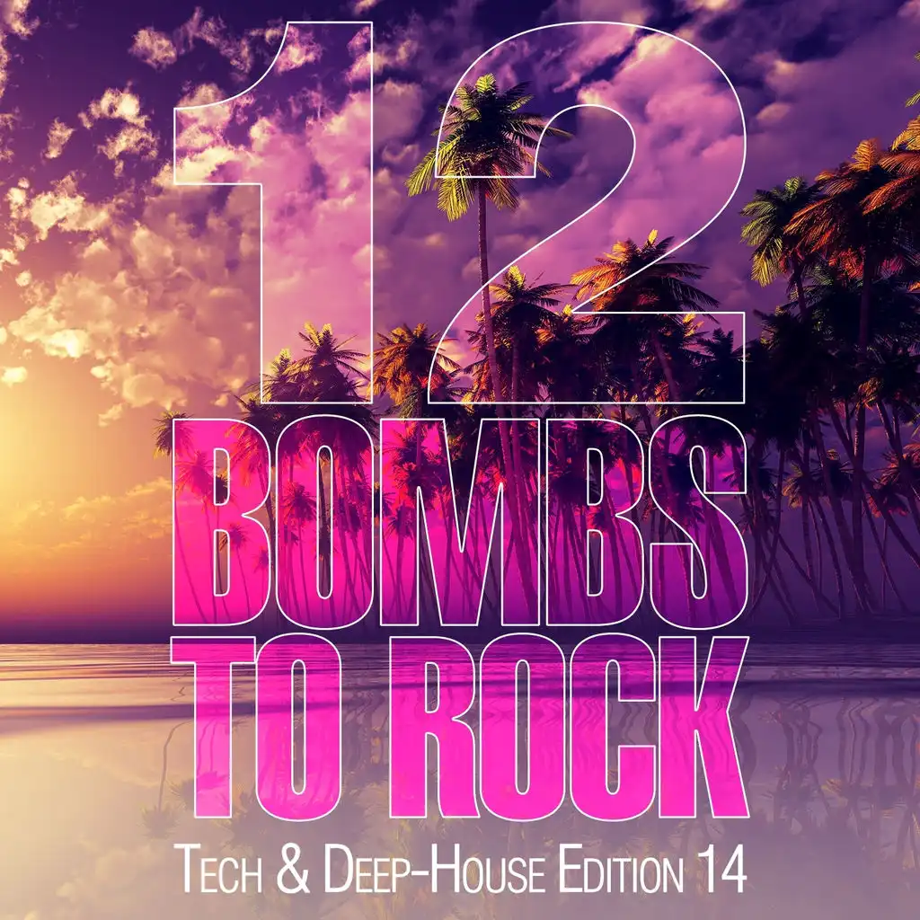 12 Bombs to Rock - Tech & Deep-House Edition 14