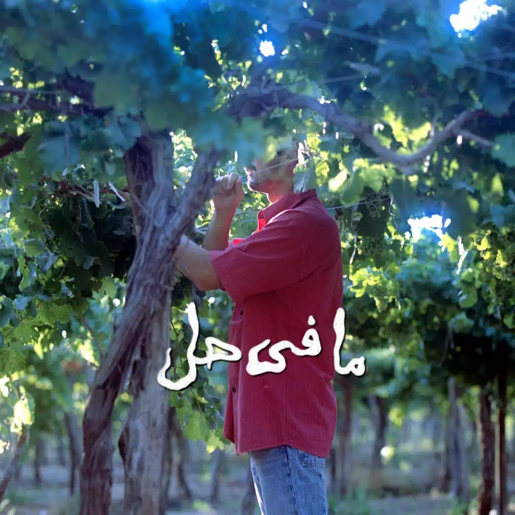 Mafi Hal