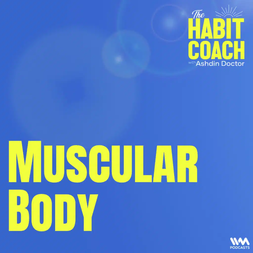 Muscular Body