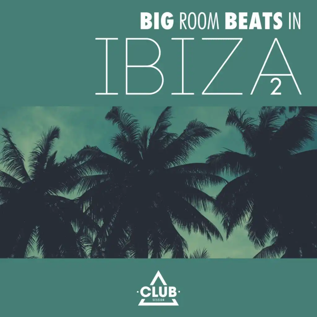 Big Room Beats in Ibiza, Vol. 2