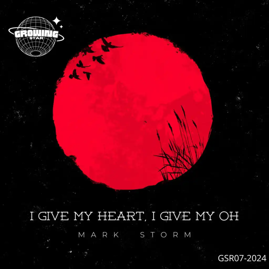 Mark Storm