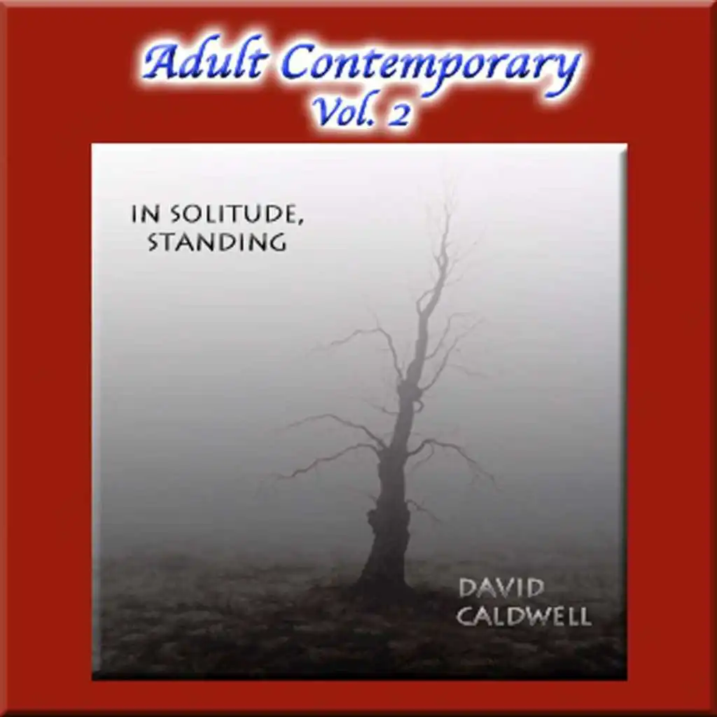 Adult Contemporary Vol. 2: In Solitude, Standing