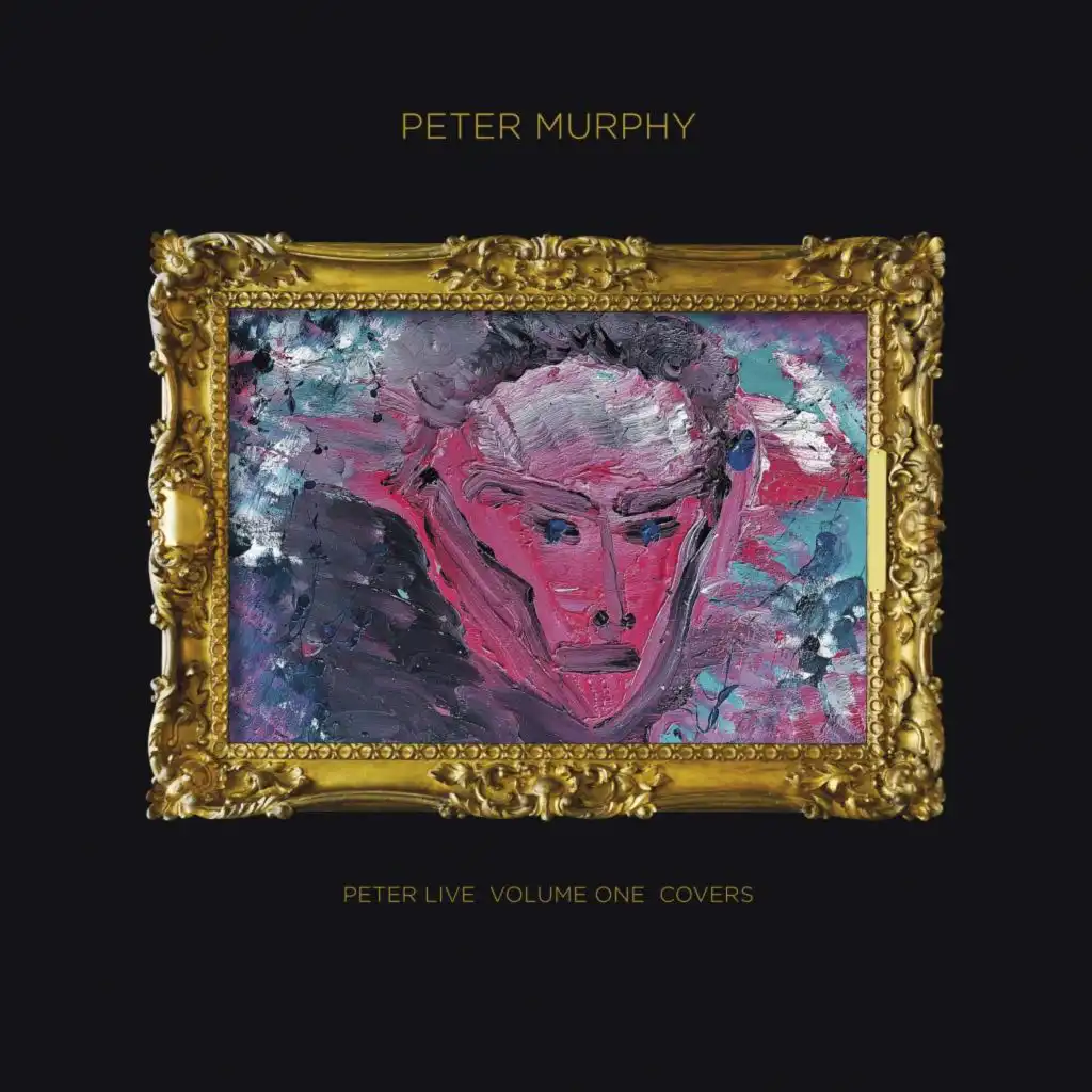 Peter Live - Volume 1 - Covers