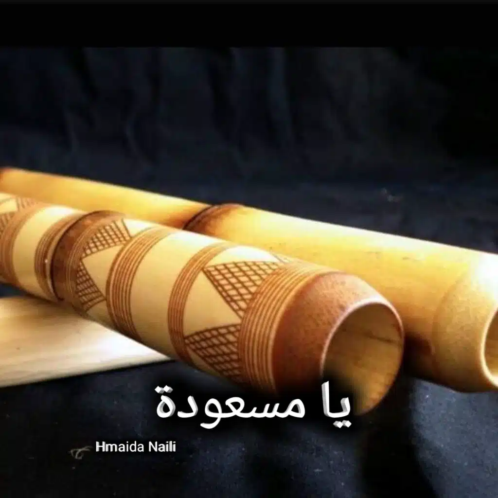 حميده النايلي