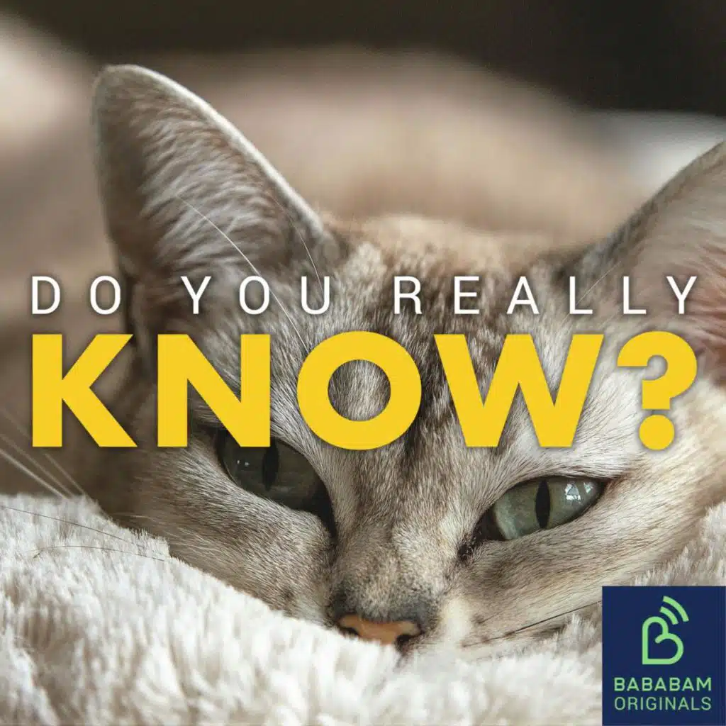 Is it a good idea to sleep with my pet?