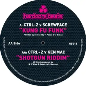 Kung Fu Funk (Original Mix)