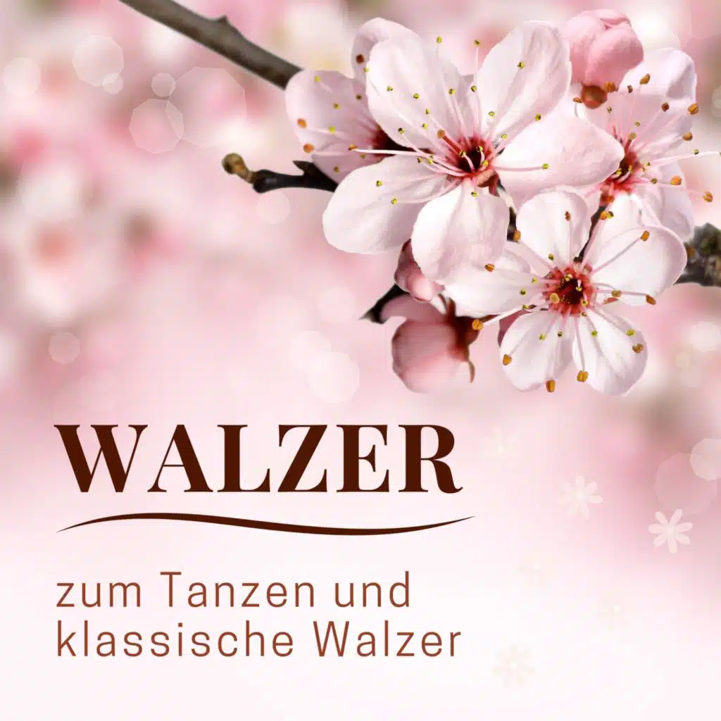 Walzer - zum Tanzen & klassische Walzer