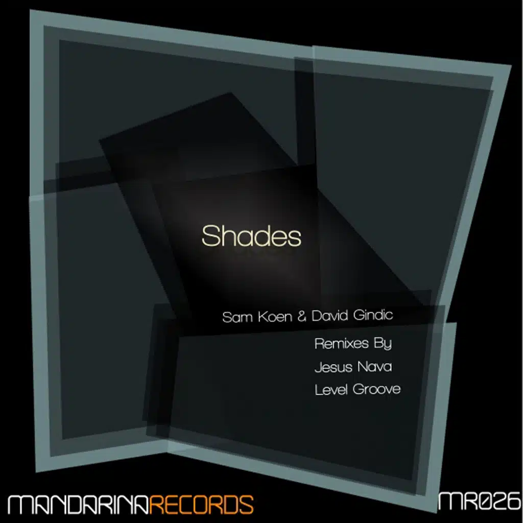 Shades (Level Groove Remix)