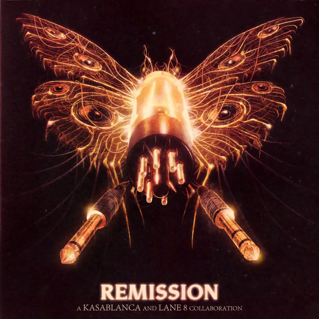 Remission (Extended Mix)