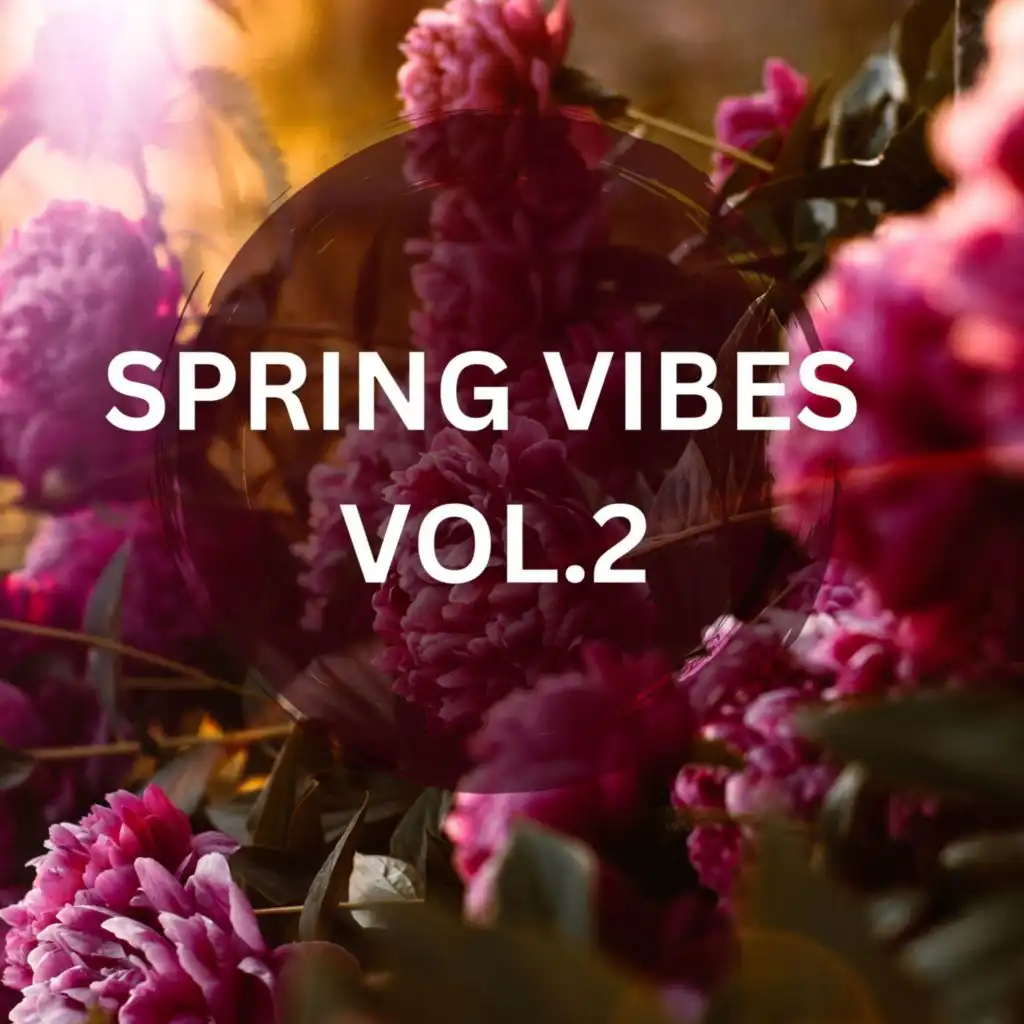 Spring Vibes VOL. 2