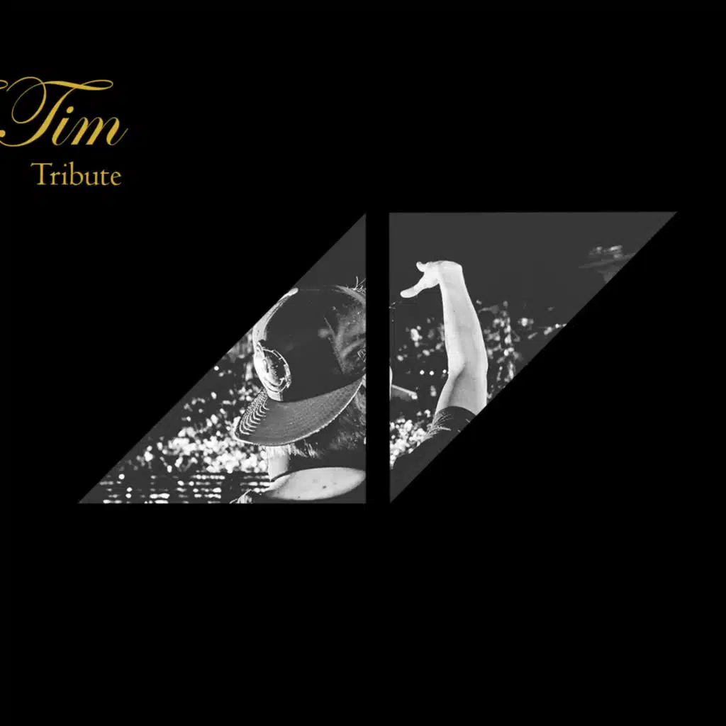 To Tim (Avicii Tribute)