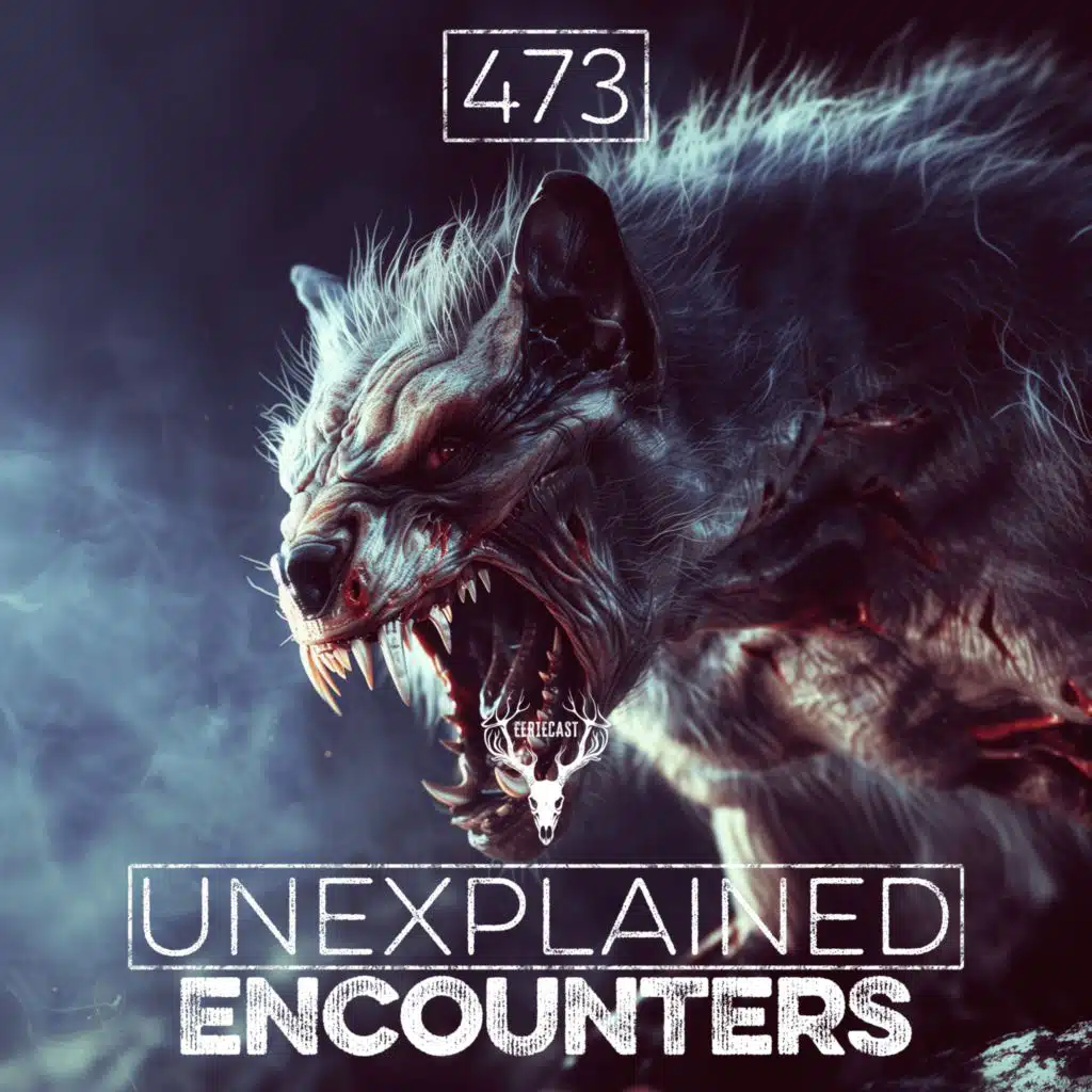 473 | 140 REAL Skinwalker SIGHTINGS (MP3 DOWNLOAD - MEGA COMPILATION)